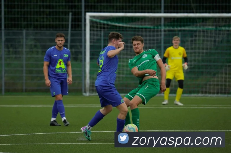 pa视讯平台生态图